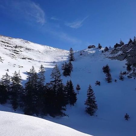 Nice And Cosy Flat Near Geneva Or Annecy ベルガルド・シュル・ヴァルスリーヌ エクステリア 写真