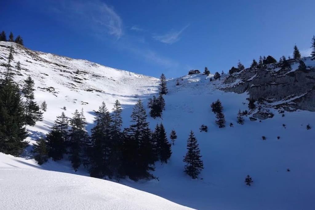 Nice And Cosy Flat Near Geneva Or Annecy ベルガルド・シュル・ヴァルスリーヌ エクステリア 写真
