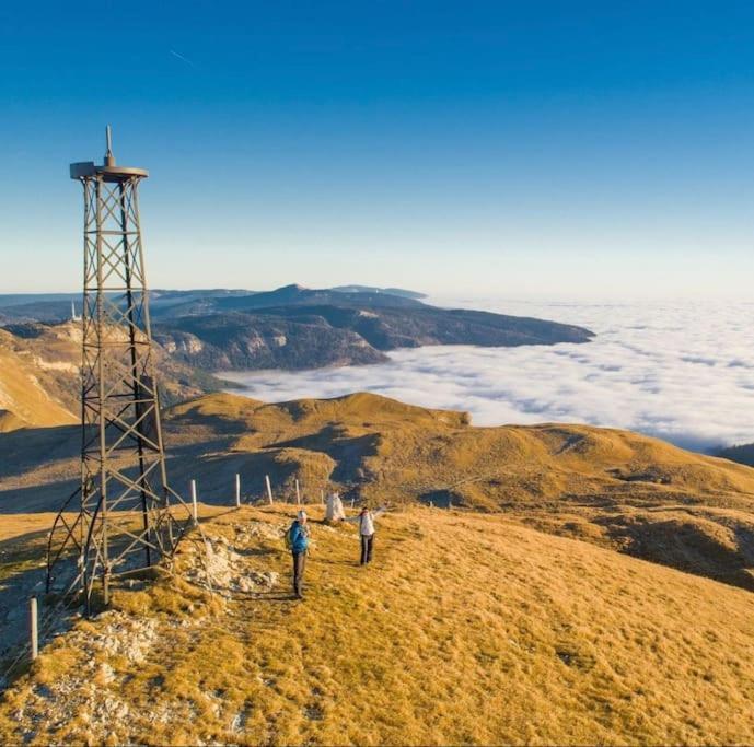 Nice And Cosy Flat Near Geneva Or Annecy ベルガルド・シュル・ヴァルスリーヌ エクステリア 写真